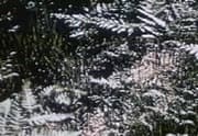 Archive thumbnail for Look to the Land