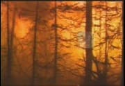 Archive thumbnail for Wildfire! Preventing Home Ignitions