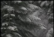 Archive thumbnail for Trail of Tragedy: The Excavation of the Donner Party Site