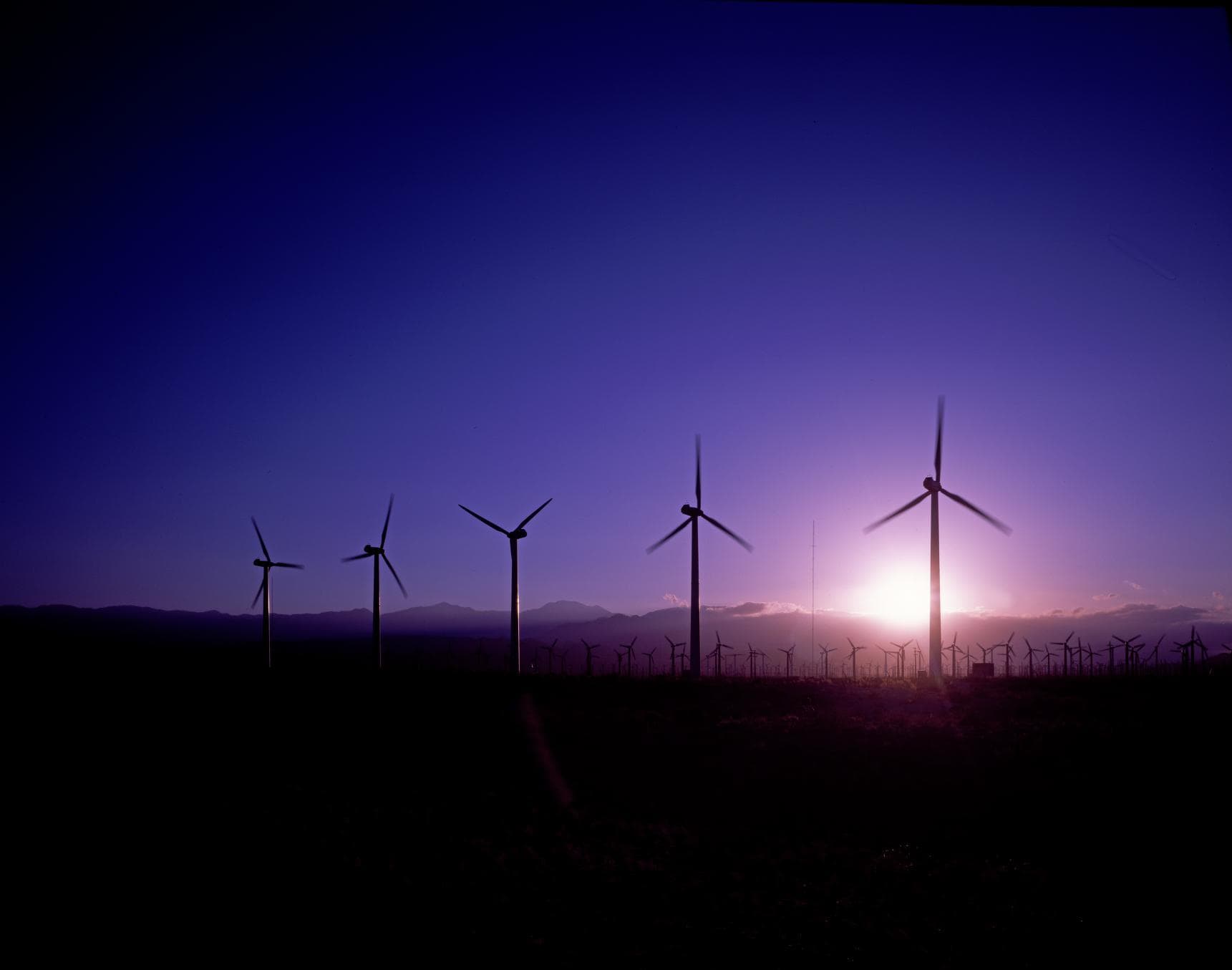 Wind turbines gather above California's San Gorgonio Pass.