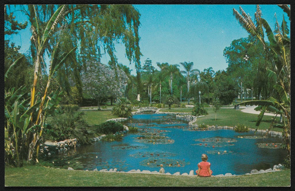 A water-lily pond turns an ordinary city park into a saturated mid-century postcard.